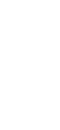 white previous arrow